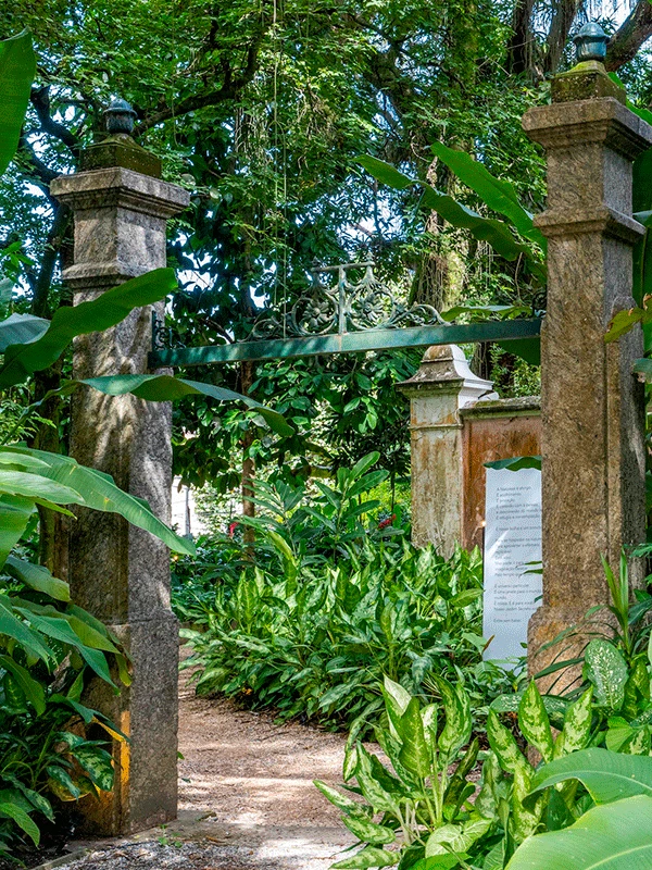 espaço completo com muitas plantas