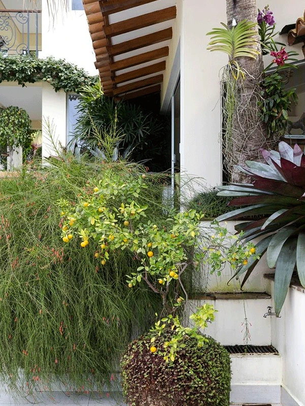 flores e plantas inverno