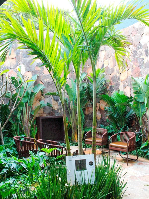 arte da decoração de jardim
