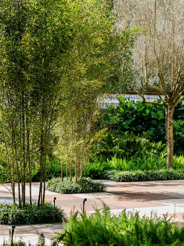 jardim romantico e moderno