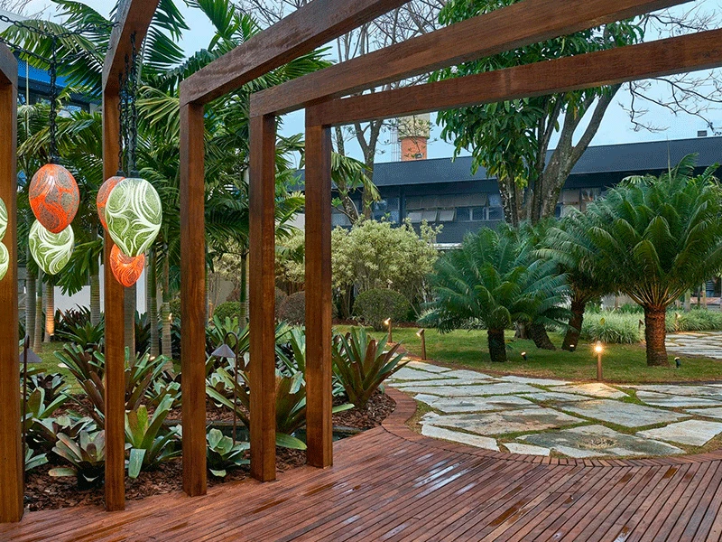 plantas para pergolado