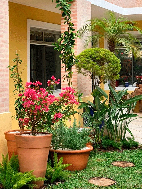 jardim economico e bem decorado