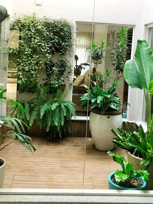jardim obra de arte
