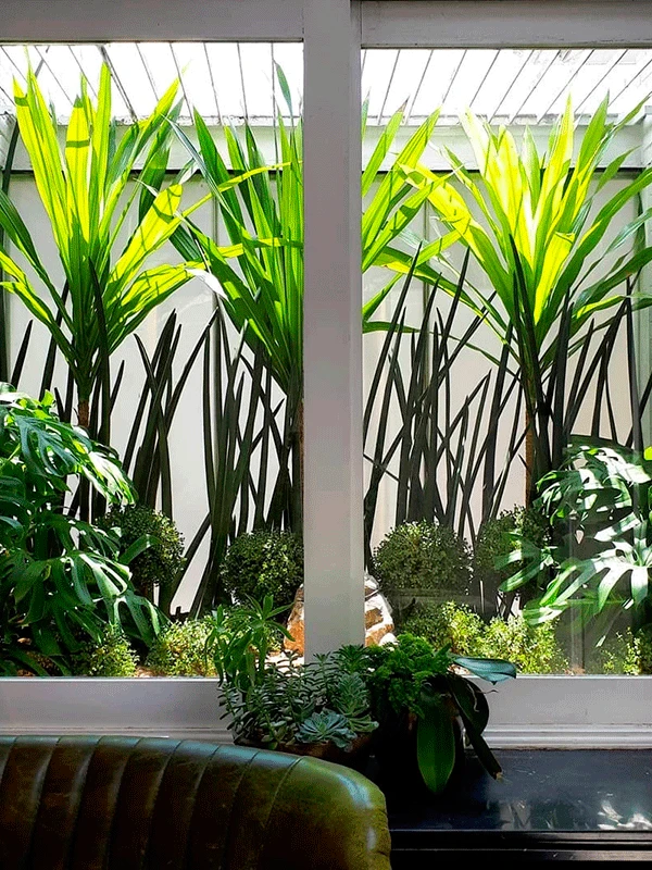 jardim de inverno pequeno