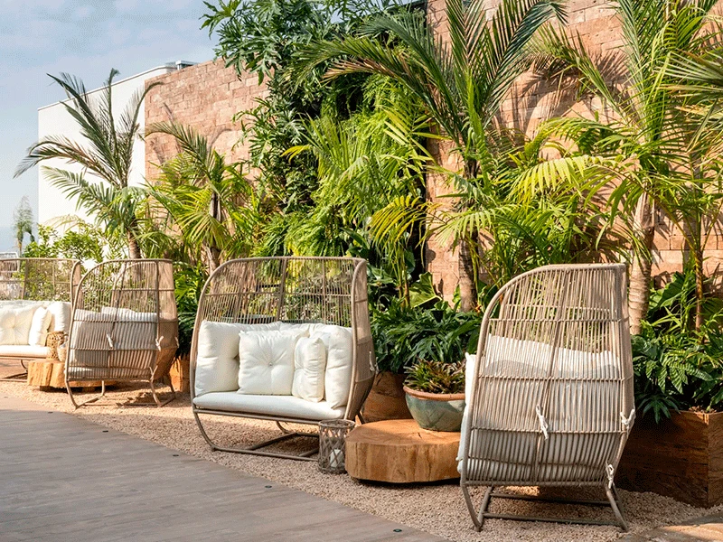 plantas para jardim