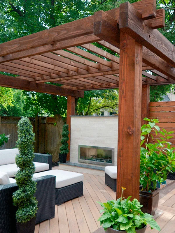 planta hera de cabo no pergolado