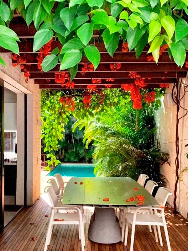 cobertura com plantas