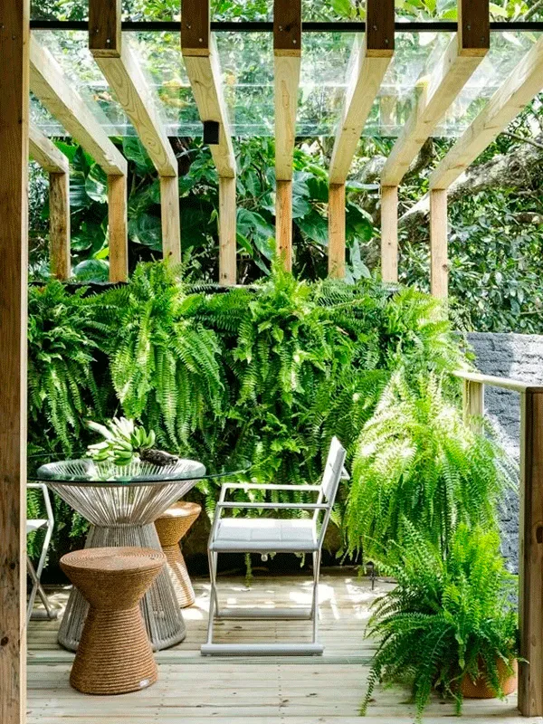 pergolado com plantas e jardim vertical