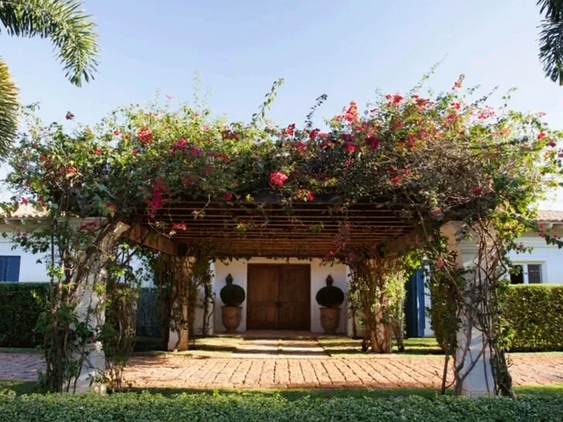 pergolado para meditação