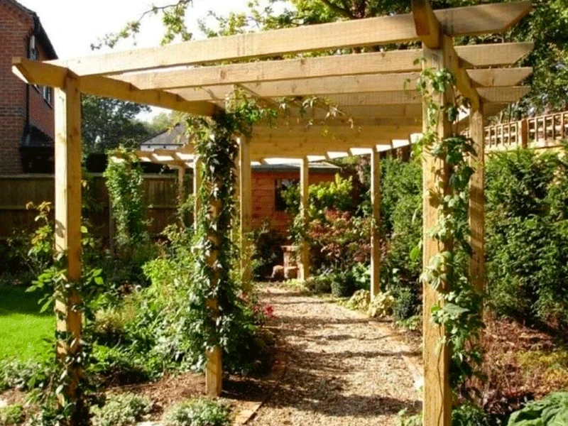 pergolado de madeira com muitas plantas