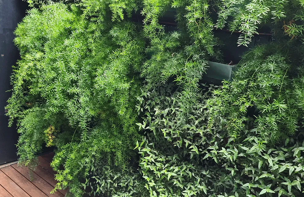 suporte para jardim vertical