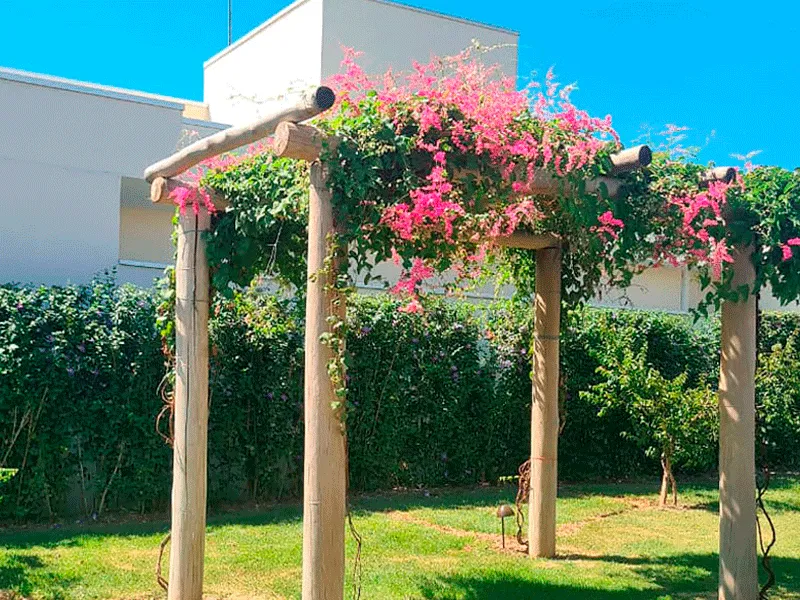 Pergolado com fundo natual