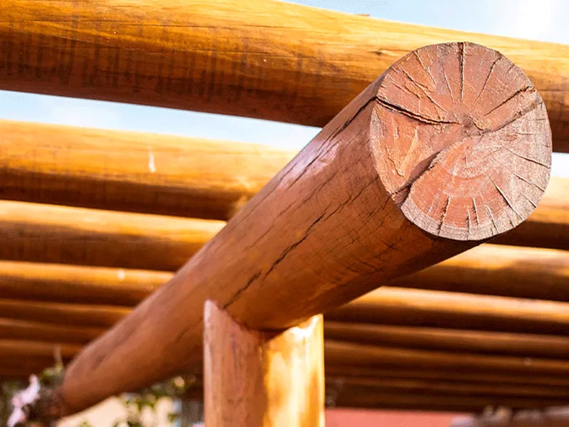 mostrando os beneficios do pergolado de eucalipto