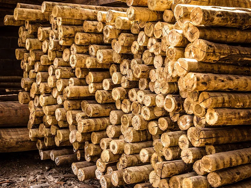 Madeira de eucalipto tratado