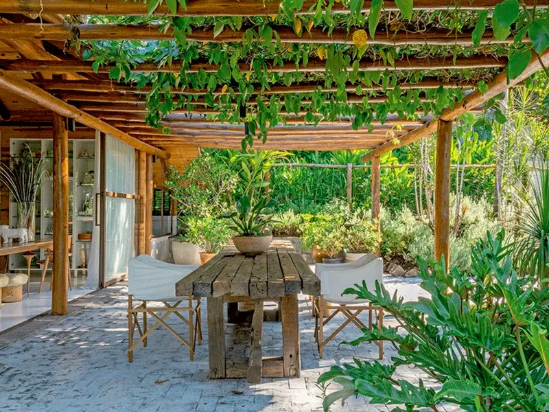 Pergolado com plantas trepadeiras 