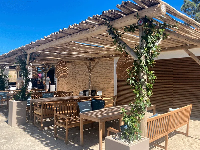 pergolado com plantas trepadeiras na estrutura do pilar