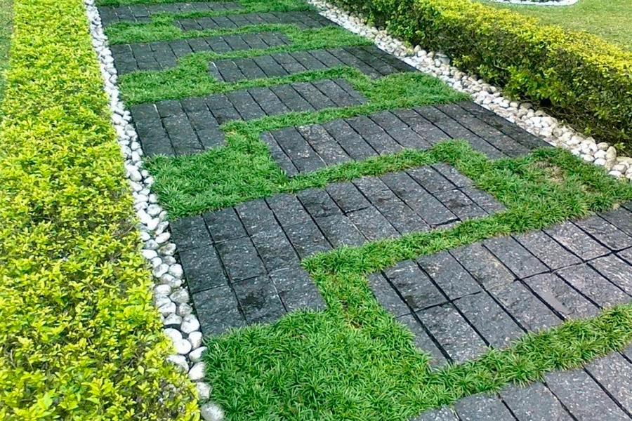 calçada com grama e pedras 