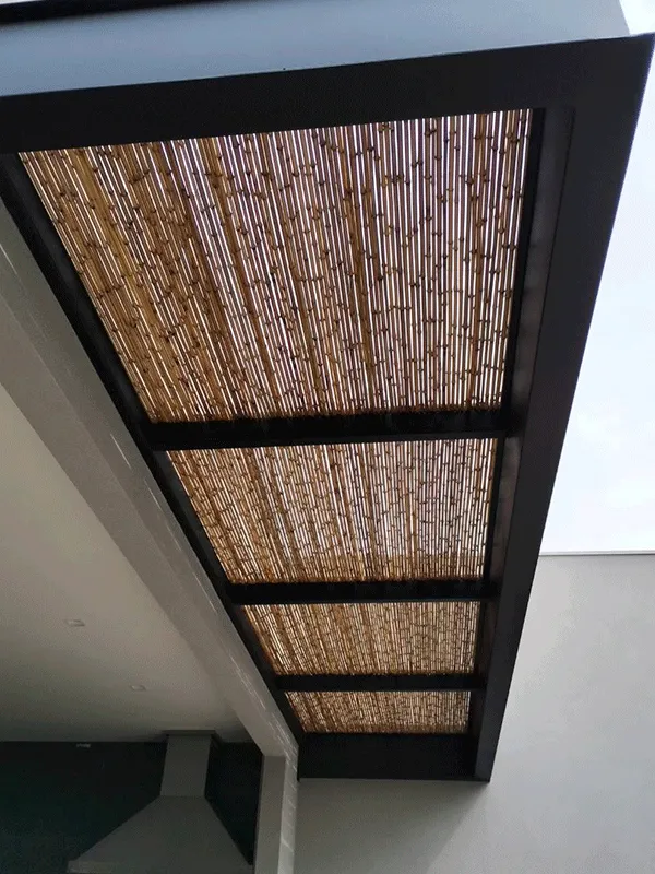 bambu usado em pergolados