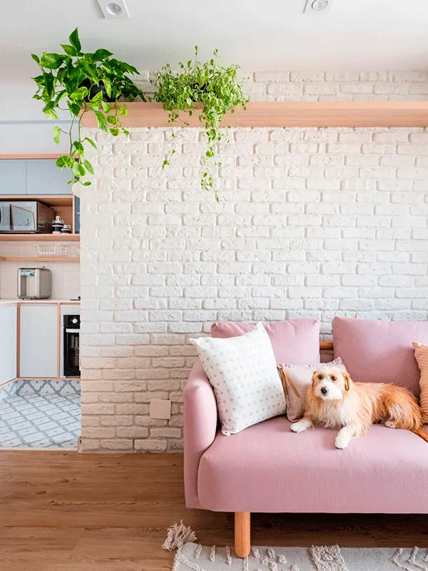 cachorro deitado no sofa rosa, mostrando o piso laminado que imita madeira