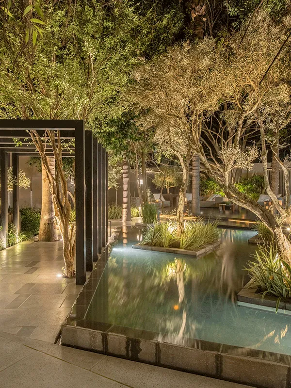 espaço com pergolado metálico com espelho d agua