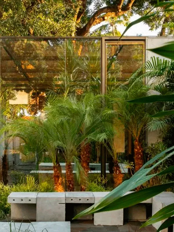 pedras naturais com palmeiras na decoração do paisagismo