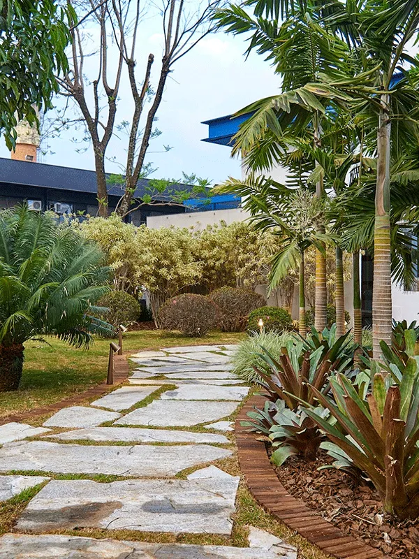 Caminhos de Pedras para jardim