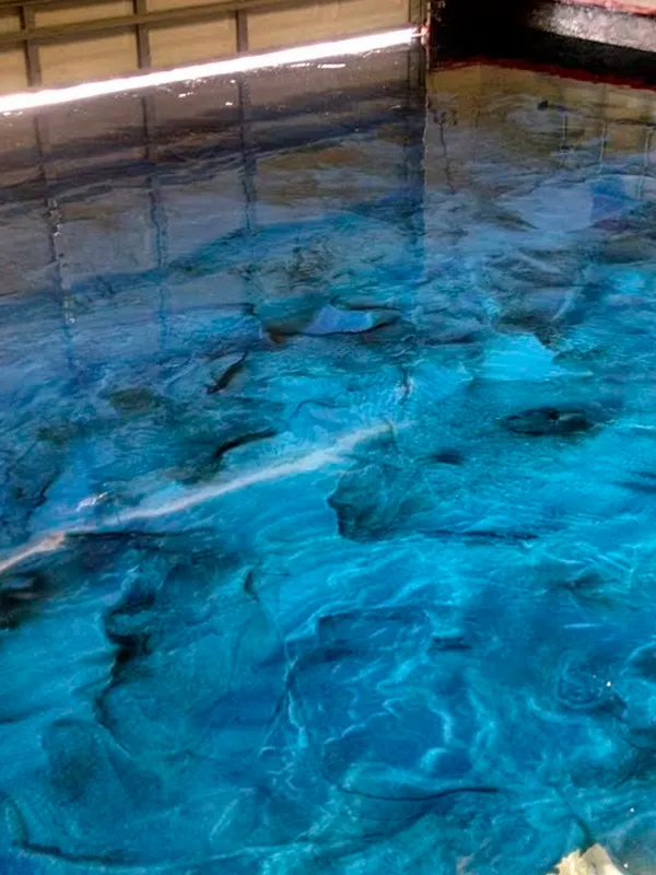 Porcelanato Liquido: Locais para Aplicação, Cores, Preços e Dicas Profissionais +40 Fotos 87 porcelanato liquido azul