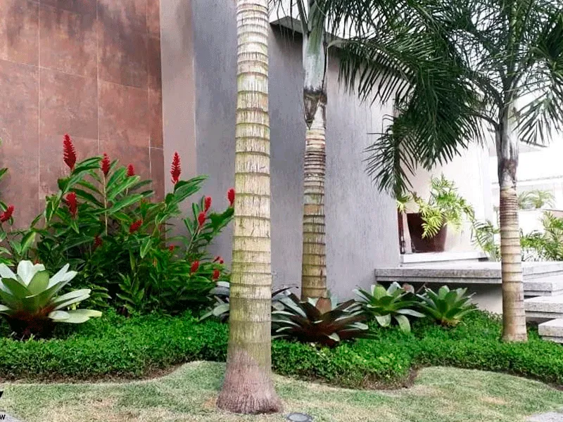 Revestimento Externo: Pisos, Muros e Fachadas +77 Fotos para Inspirar 192 formas bonitas e modernas