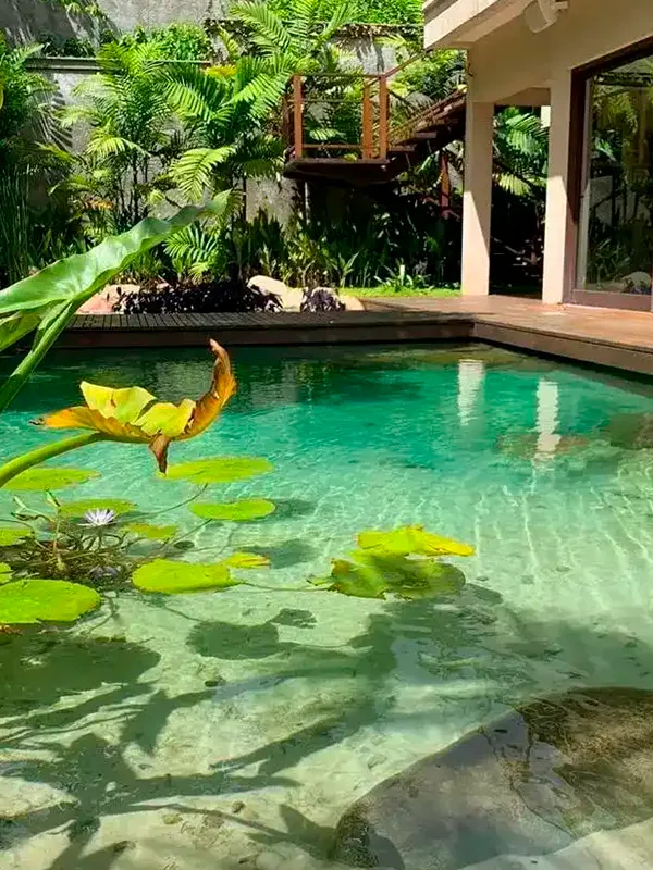casa com piscina natural