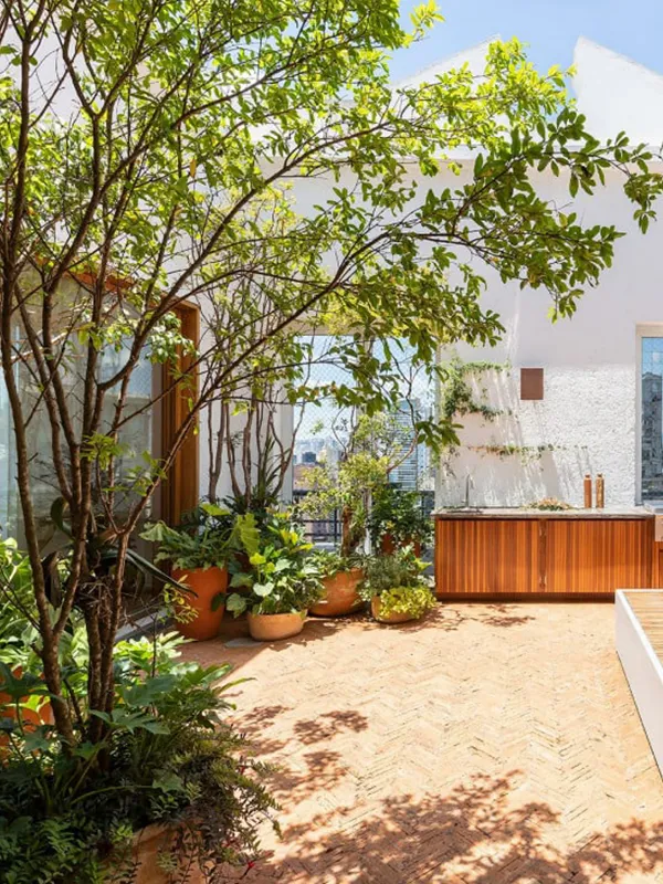 decoração do pergolado com plantas 