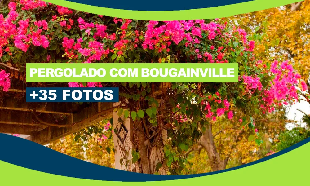 Pergolado com Bougainville: Transformando Seu Jardim com +35 Fotos para Inspirar! 383 Pergolado com Bougainville Capa
