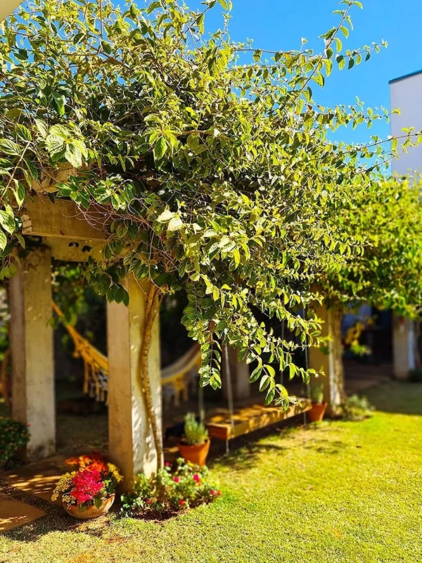 pergolado com flores