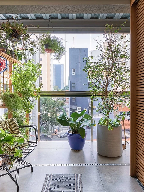 bastante plantas no espaço