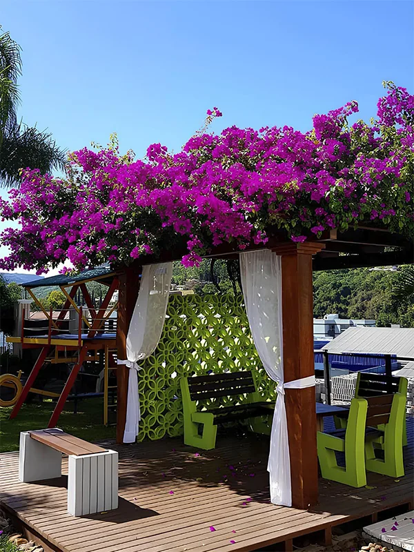 Vida e cor com pergolado de madeira