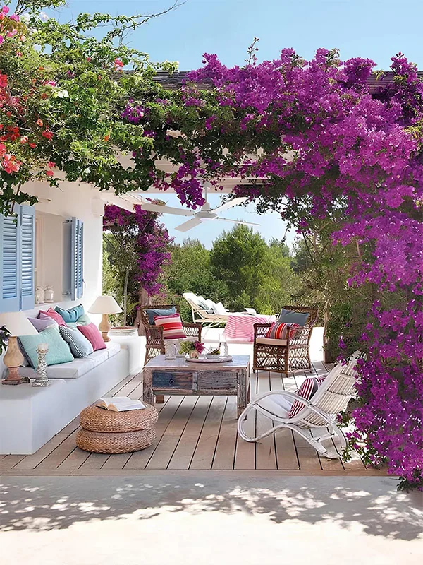 Encanto do pergolaod com plantas bougainville, deck de madeira plástica e móveis que complementam a decoração