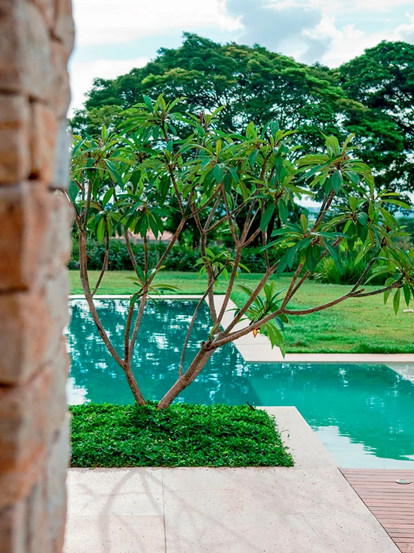 jasmin manga na área de lazer com piscina