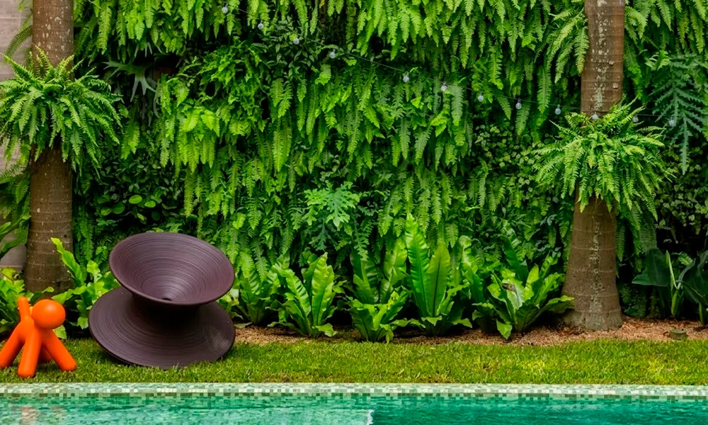 samambaia na parede da piscina