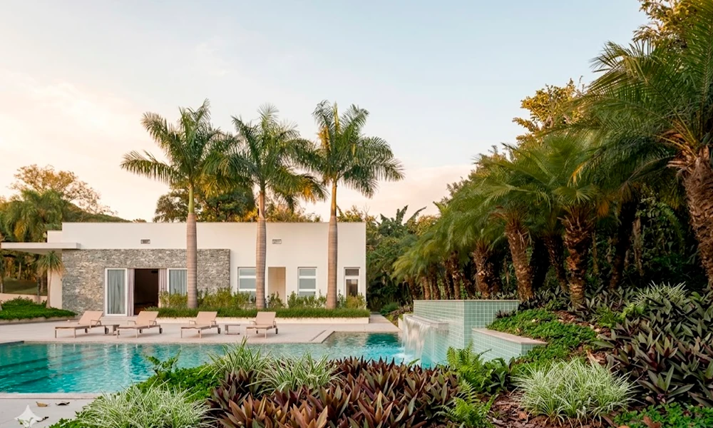 lambari roxo no paisagismo da piscina