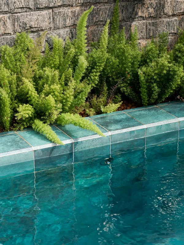 aspargo pendente na area da piscina