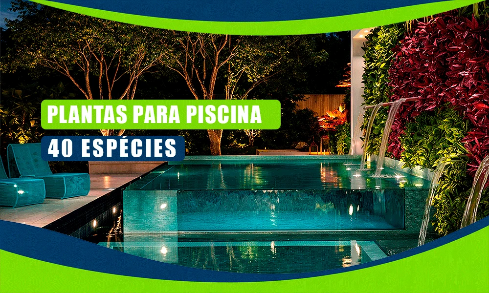 Plantas para Piscina: 40 Espécies que Podem Transformar seu Projeto 87 CAPA Plantas para piscina